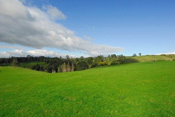 Sold to overseas owners &#8211; this lush farm in the Bay of Plenty was bought by an English couple following Bayleys' UK marketing campaign in 2009. 